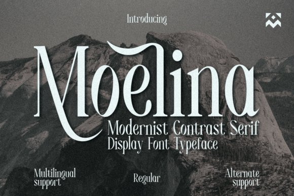 Moelina Font: A Polished Typeface for Your Brand Identity